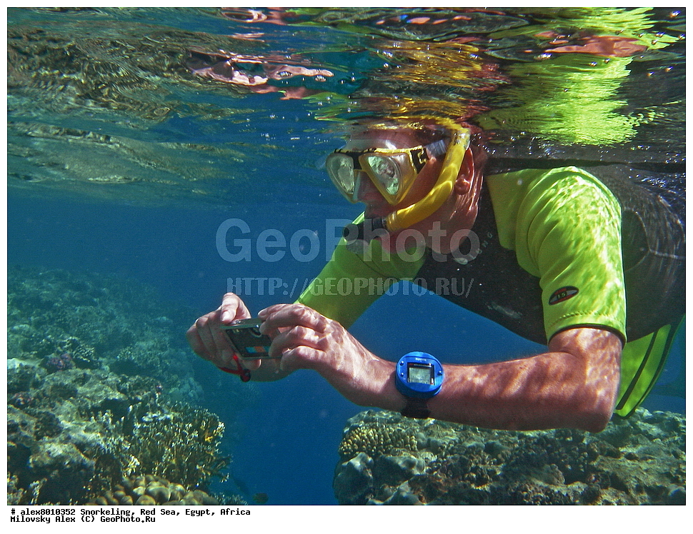 ���������, ������� ����, ������, ������