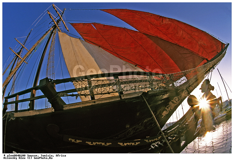 ���, �����, ������