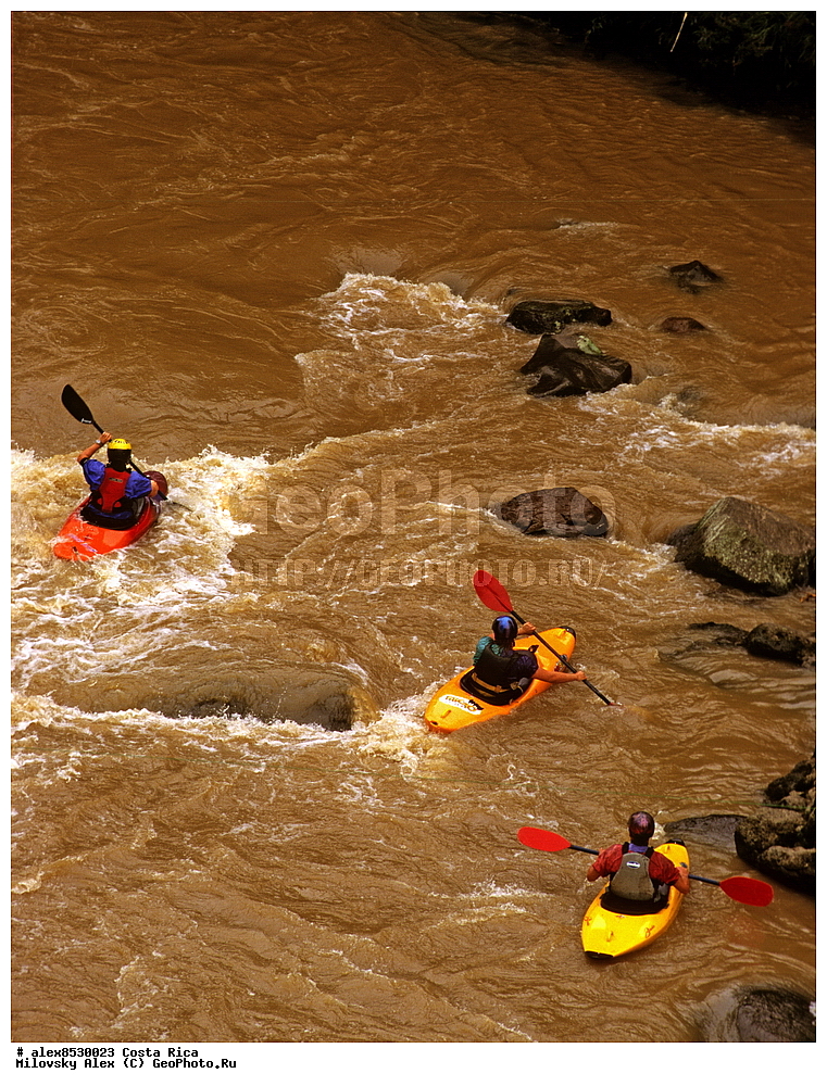 ������, �����, �����-����, ���������� �����-����, ��������� �������, �������� �������, ����������� �������