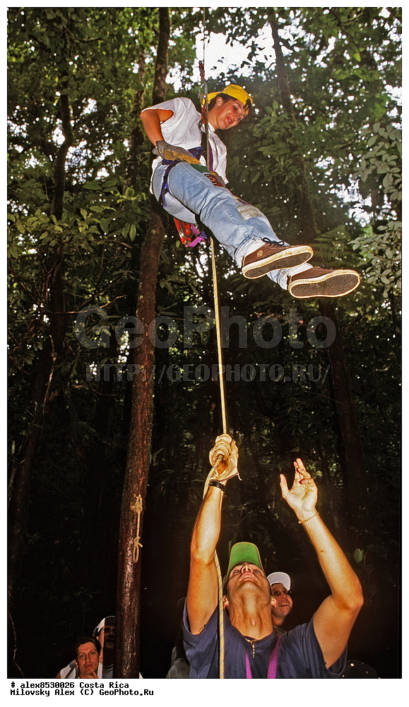 ������, �����, �����-����, ���������� �����-����, ��������� �������, �������� �������, ����������� �������