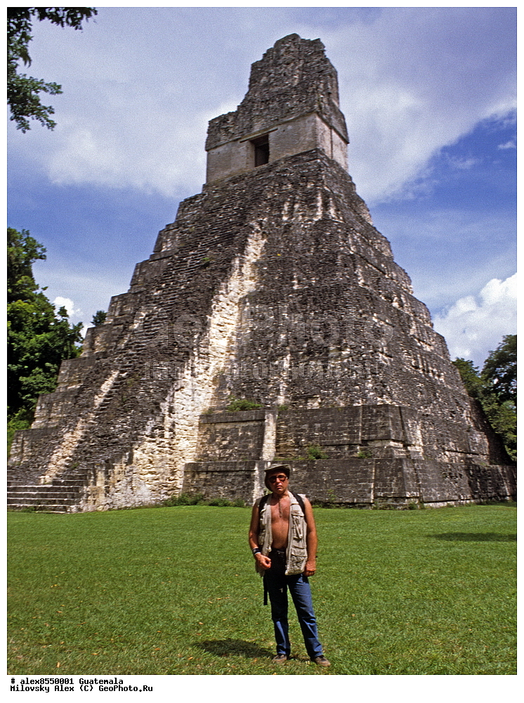 ����, ������, ���������, ���������� ���������, ��������� �������, �������� �������, ����������� �������