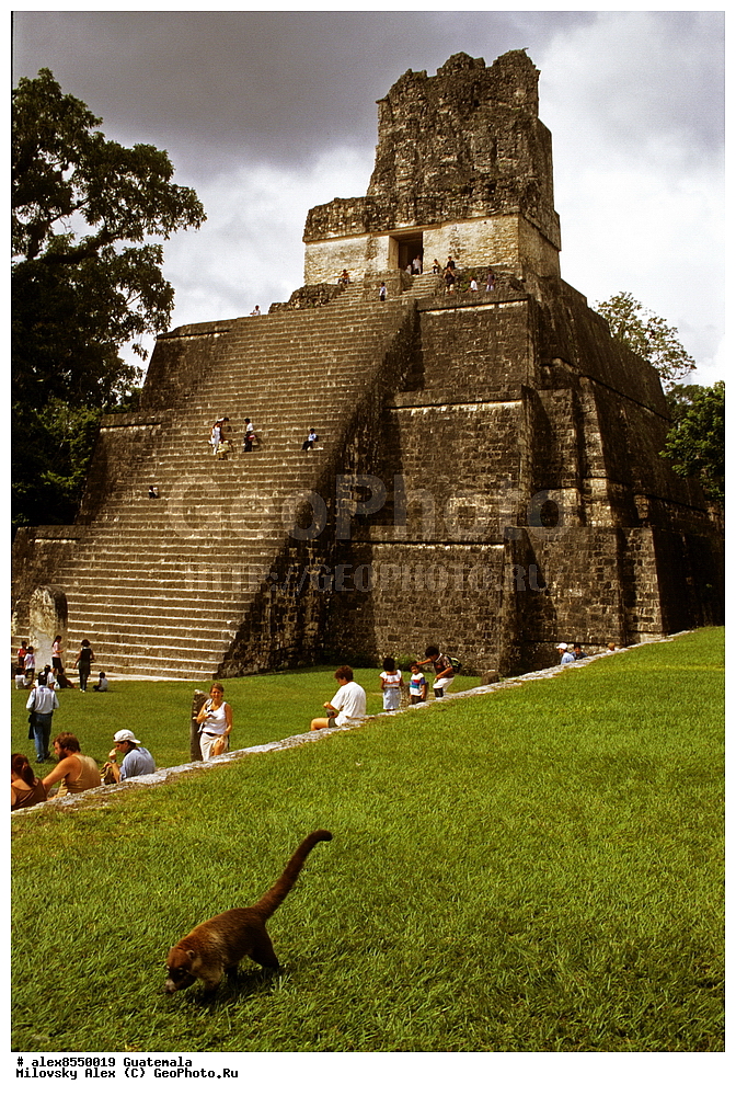 ����, ������, ���������, ���������� ���������, ��������� �������, �������� �������, ����������� �������