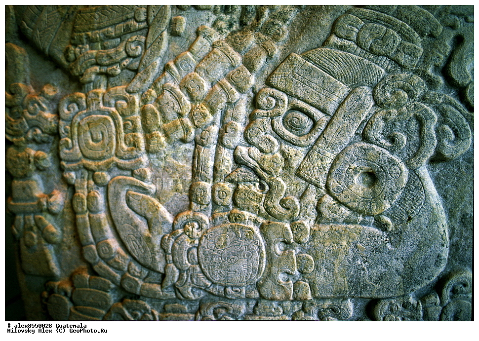 ����, ������, ���������, ���������� ���������, ��������� �������, �������� �������, ����������� �������