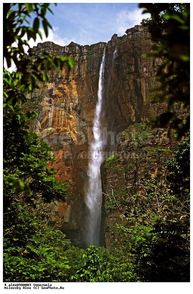 �������, ������� ������, ������������ ���� �������, ���������, �������������� ���������� ���������, ��������� �������, ����� �������