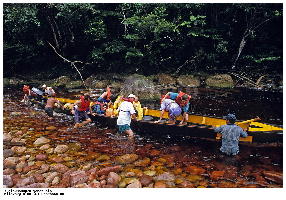 �������, ������� ������, ������������ ���� �������, ���������, �������������� ���������� ���������, ��������� �������, ����� �������