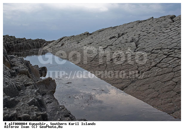 ������� ������, �������, ����������, ����� ������, ����, ���, ��� ����������, ��������, �����