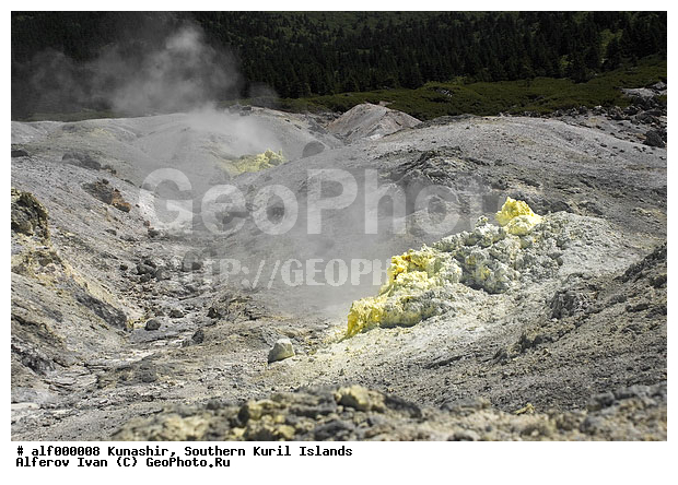 ������� ������, �������, ����������, ����� ������, ������, ������ ����������, ����, ��������, ������������, ����������� ����