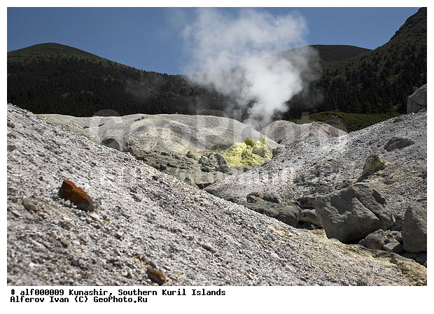 ������� ������, �������, ����������, ����� ������, ������, ����, ��������, ������������, ����������� ����, ����������� ����� ������ ����������