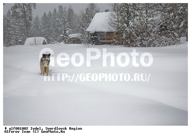 ������������ �������, ������, ����, ���� �������, ����� ������, �������, ����, ��������, ����, �����, �����, �����, ����, ������, ����, �����, ���������, �������, ������