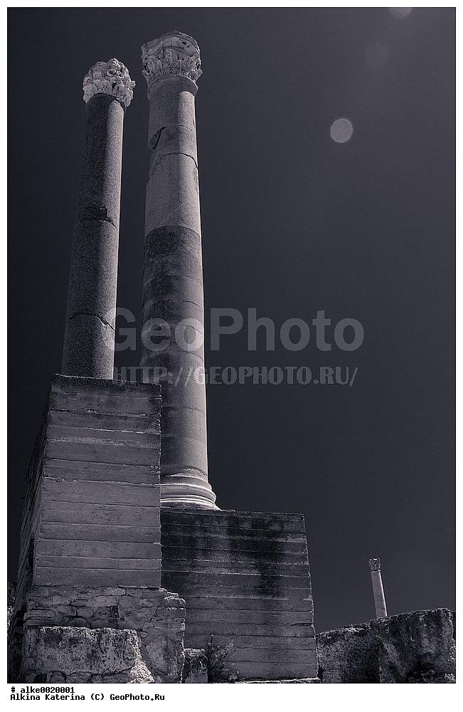 �����, ������, ��������, ����������, ���������