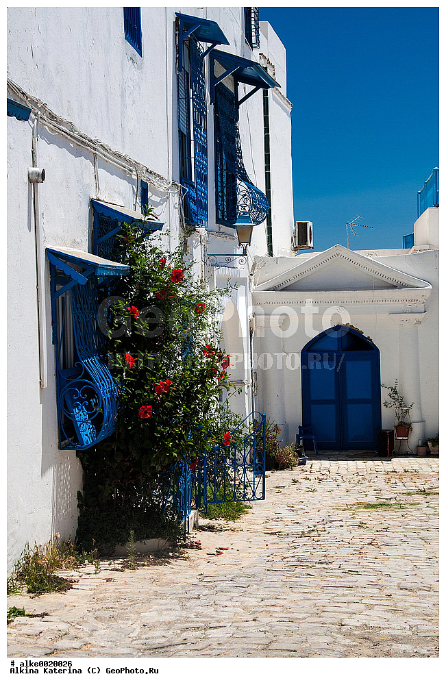 �����, ����-��-����, ���� ����� �������