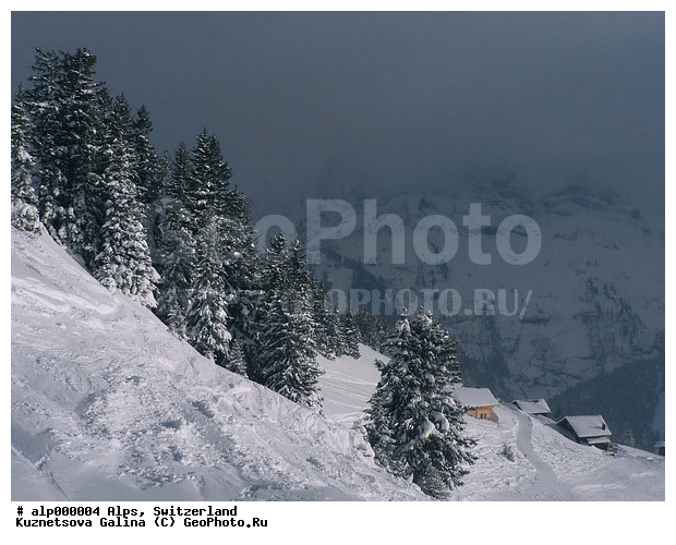 Portes Du Soleil, �����, �����, ������, ������ ������, ���������, ������ ����, ������ ������, ����, ����
