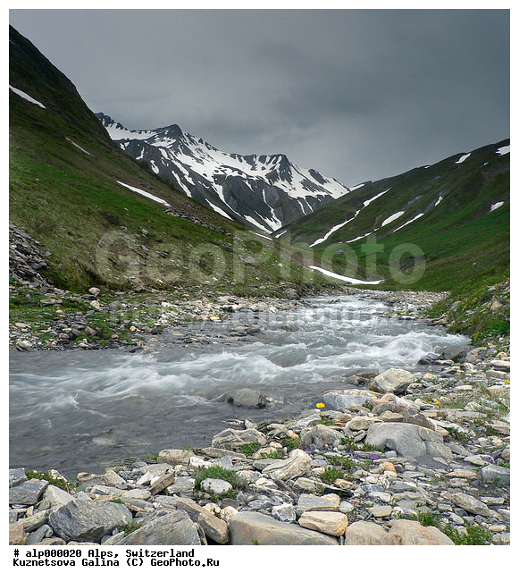 �����, �����, ������, ���������, �����, ������ ����, ������ ������, ����, �����