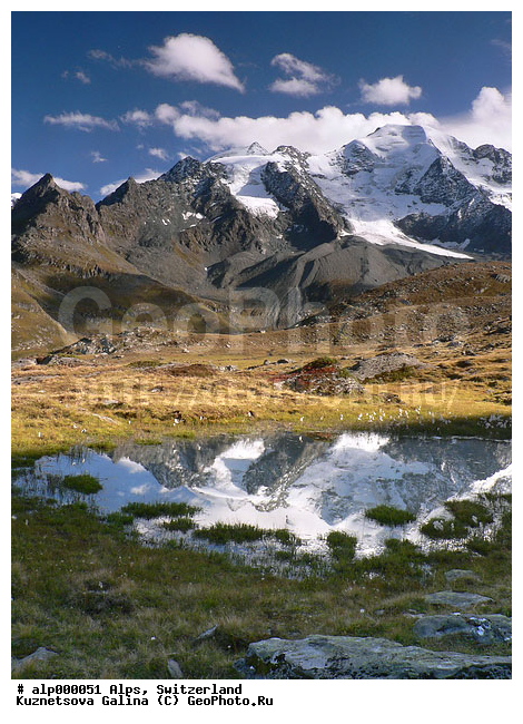 Petit �ombin, �����, �����, ������, ����� ������, �ombin, ���������, ������ ������, ����, �����