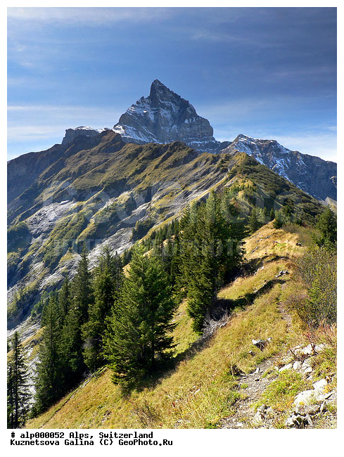 Dents Du Midi, �����, �����, ������, ���������, ������ ������, ����, �����