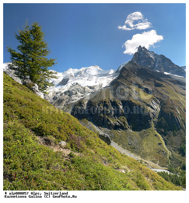 Arpitetta, Zinal, �����, ���������, �����, ������, �����, ���������, ������ ������, ����, �����