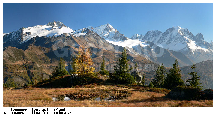 �����, �����, ������, ���������, �������������� ��������, ������ ������, ����, ������ Mont Blanc, ������ �������, �����, ��������