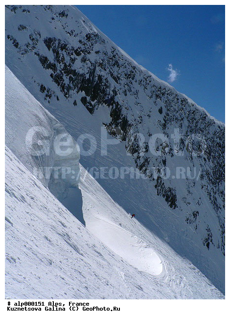 �����, ������, ������ ����, ����, ������, ������, �������