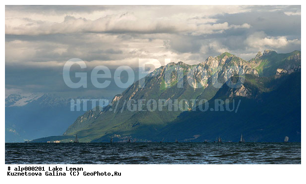 ��������� �����, �����, ���������, �������������� ��������, ������ ������, ����, �����, ��������, ����