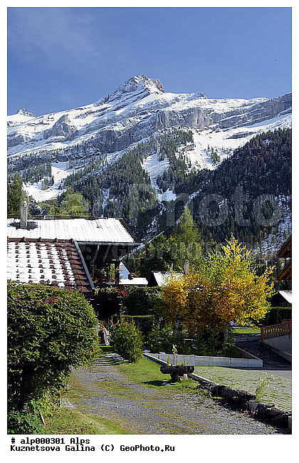 �����, ��������, ���������, ����, �������, ���, �����, ����