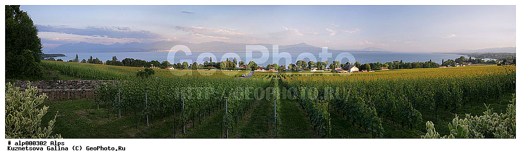 ��������� �����, �����, ���������, ������������, ��������