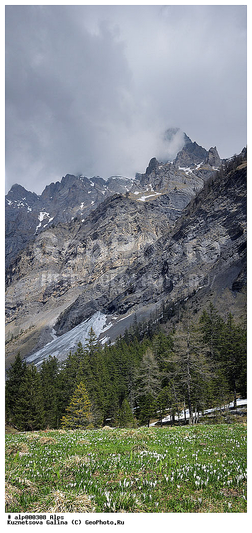 �����, ���������, �����, ����, ���, ����, �������, �����, ����, �����