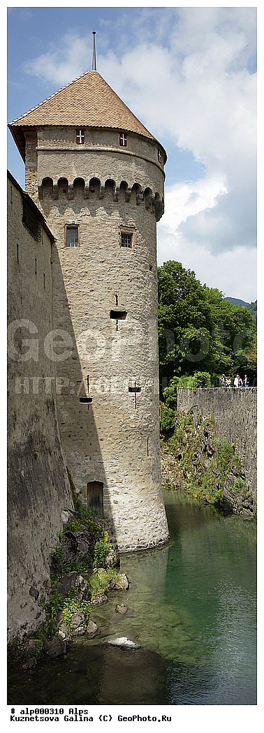 ���������, �����, ��������� �����, ������, ���������� �����