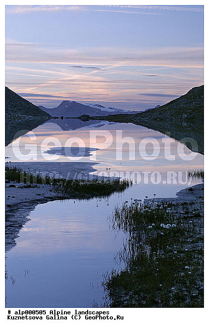 �����, ������ �����, ������ ������, ����, �����, �����, ���������, ������, ������, �����