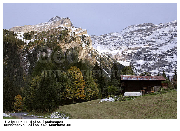 �����, ����, ������ ������, ���, �����, �����