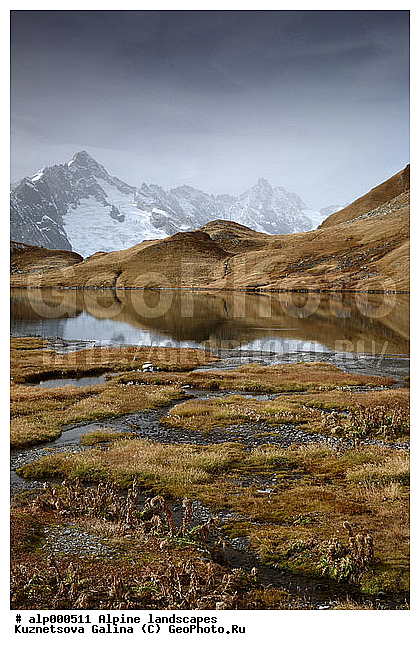 ����, ������ �����, ������ ������, �����, �����