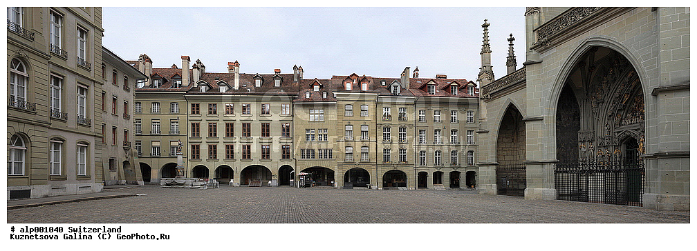 ����, ���������, ������������, �������, �����