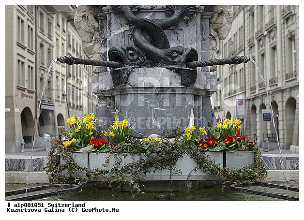 ����, ���������, ������, �����