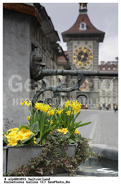 ����, �������, �������������, ���������, �����, ������, ������, �����, ����