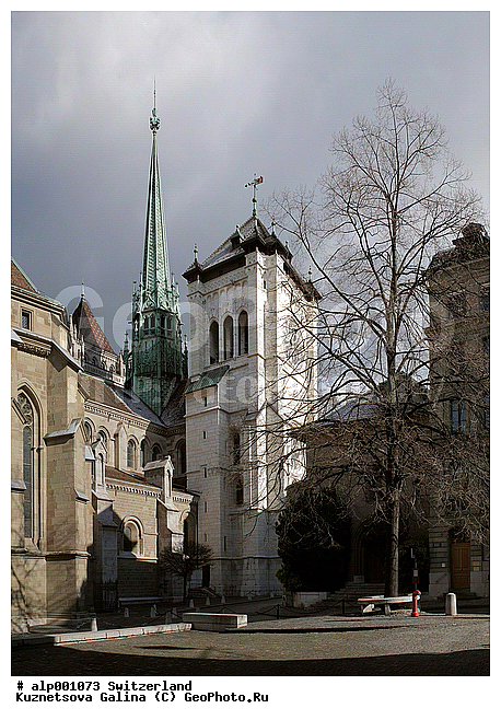 ������, ���������, �����