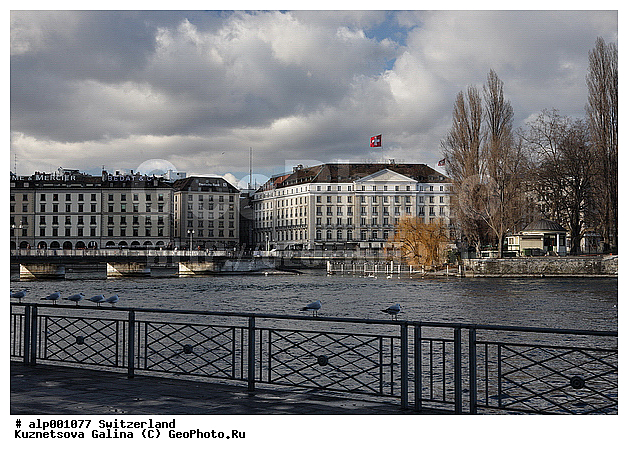 ������, ���������, �����, ����