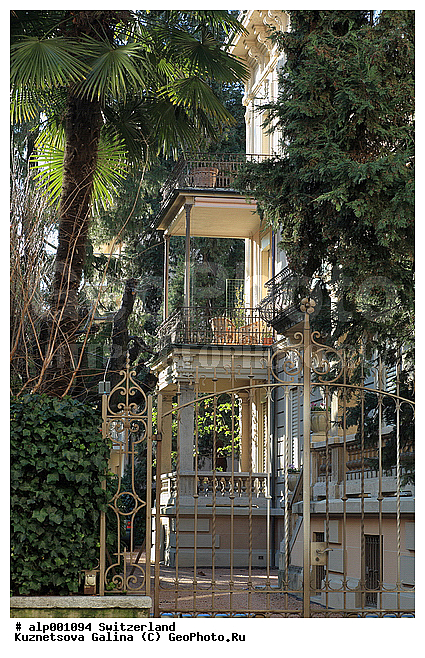 ������, ���������