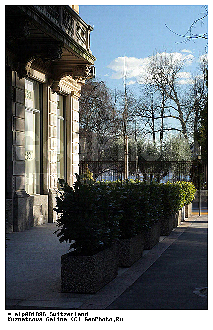 ������, ���������, ����������� �����