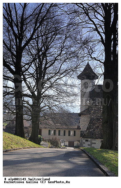 ���, ���������