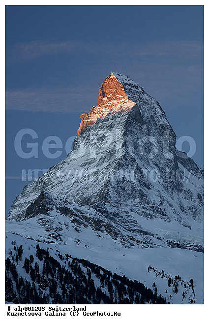 �����, ����������, ������, ���������, �������, ������ ����, ����, ����, ����