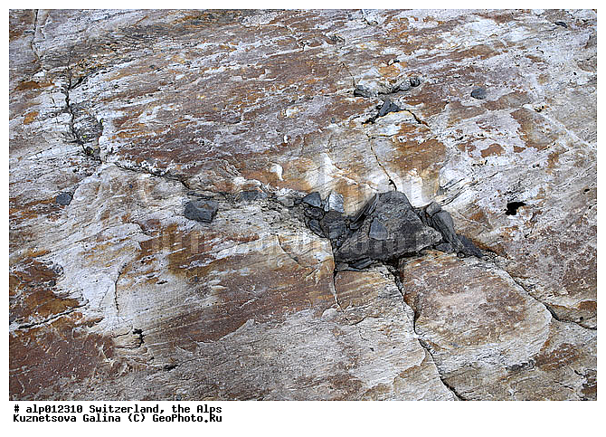 �����, ���������, �����, ������, ��������, �������, ���