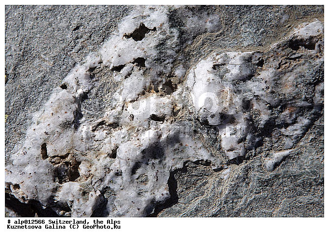 �����, ���������, �����, ������, ��������, �������, ���