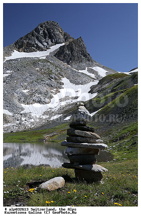 �����, ���������, �����, ������, ������, ��������