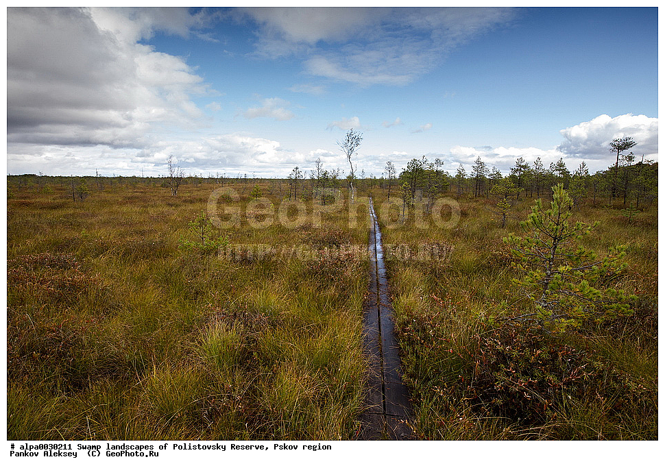 �������� ��������, ������, ������������ �����������, ��������� �������, �������� ������, ��������, ������, ����, ������, ������, �����