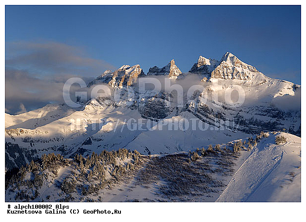 �����, ������ ������, ����, ����, ������, �����, ����