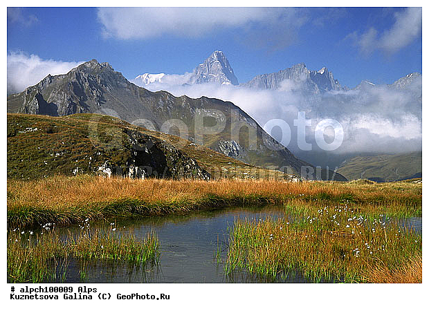 �����, ������ ������, ����, �����, ������