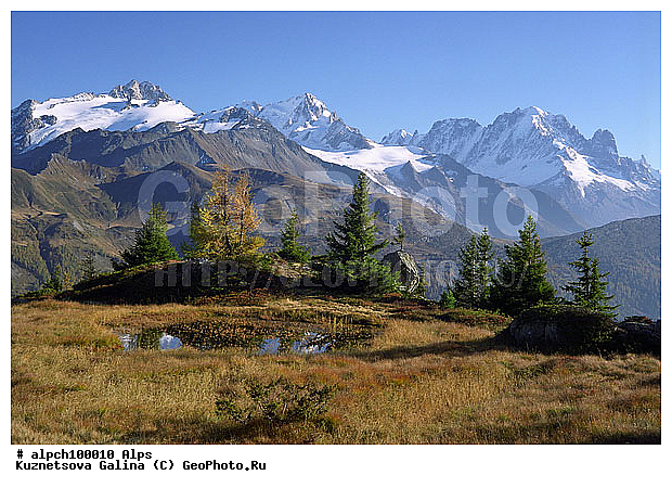 �����, ������ ������, ����, �����, ������