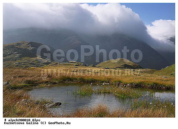 �����, ������ ������, ����, ����, ������, �����, ������, �����