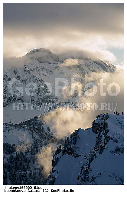 �����, ������ ������, ����, ����, ������, ������, �����