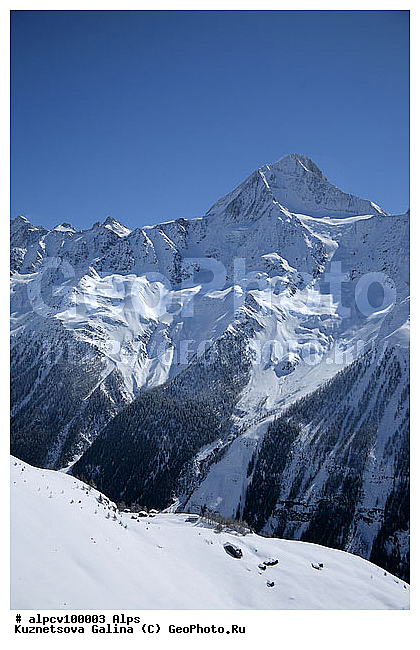 Bieschhorn, �����, ������ ������, ����, ����, ������, ����