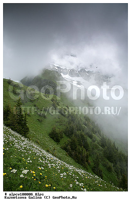 �����, ������ �����, ������ ������, ����, ������, ������